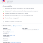 USA Payoneer Account